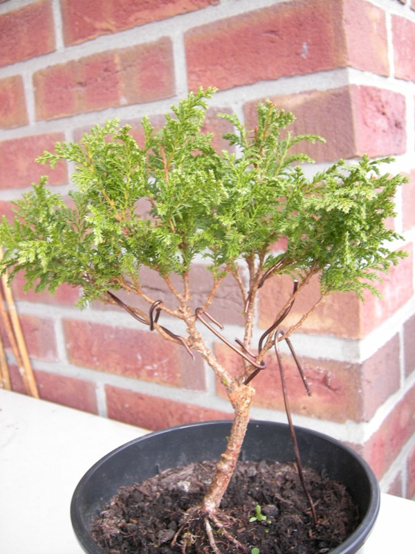 sany0001_181.jpg