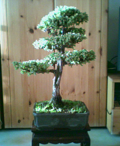 picture36ba.jpg