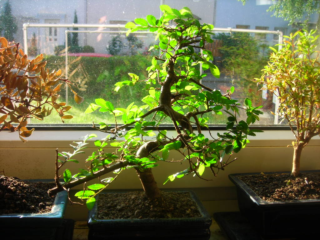 DSCN1653.JPG