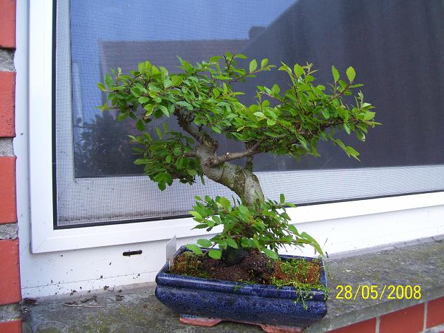 Bild 008_1.JPG