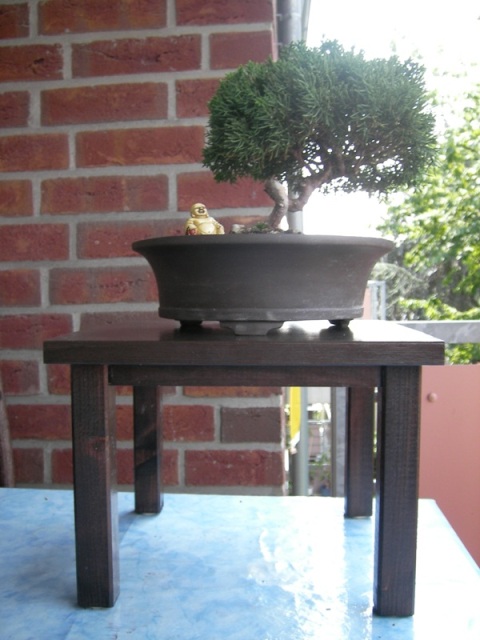 SANY0004.jpg