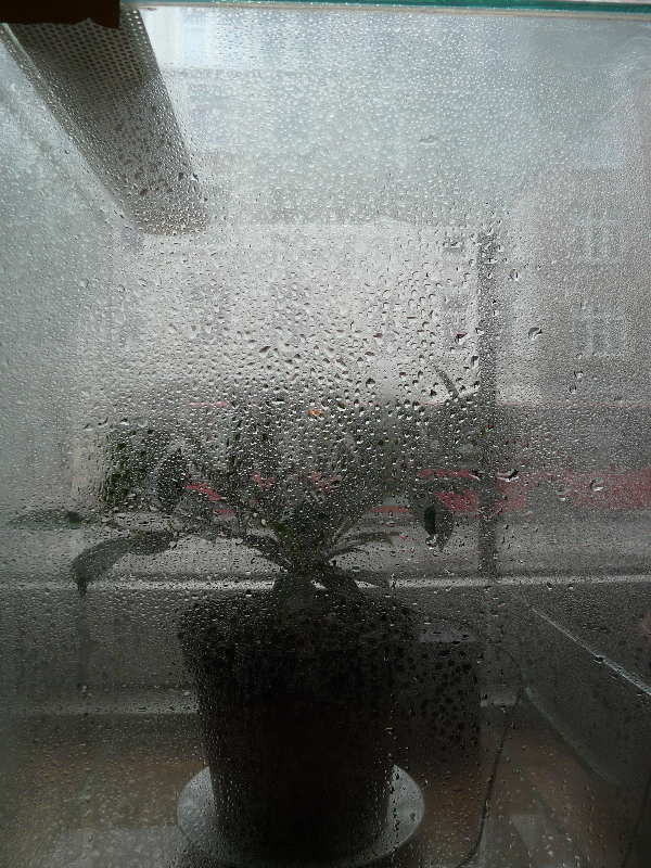 P1040349.JPG