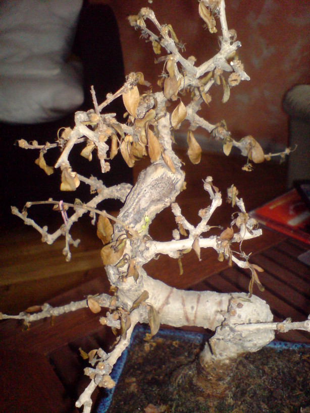 DSC00822.JPG