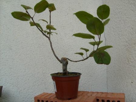 S6300004.JPG