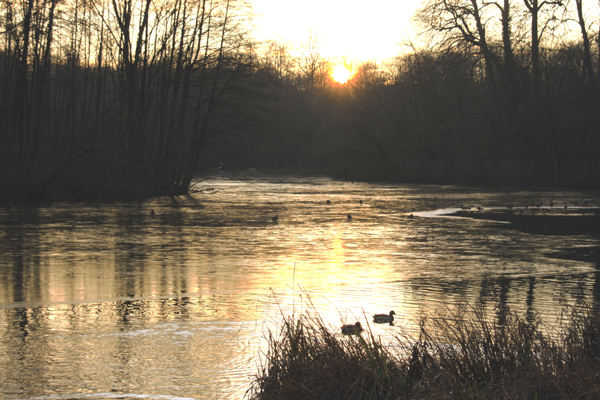 Bagno-See Steinfurt.jpg