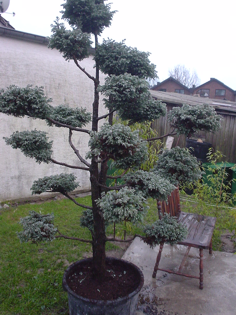 DSC00853.JPG
