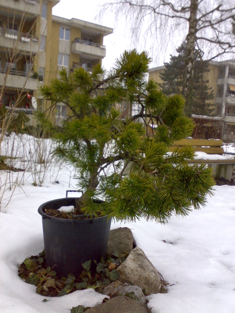 24122008755.jpg