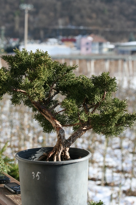 Kopie von Jänner09 147.jpg