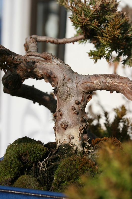 Kopie von Jänner09 105.jpg