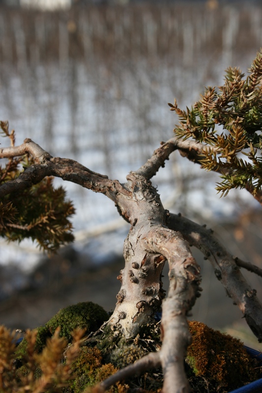 Kopie von Jänner09 102.jpg