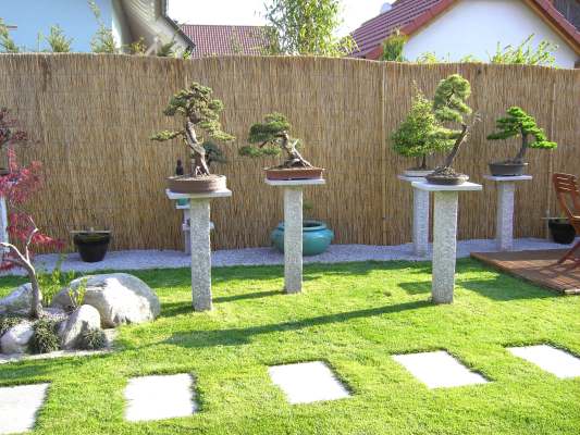 PICT1069.jpg