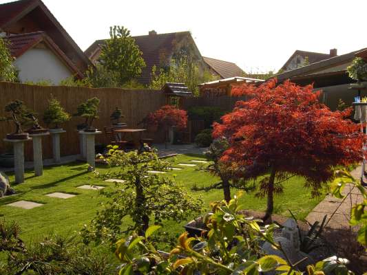 PICT1067.jpg