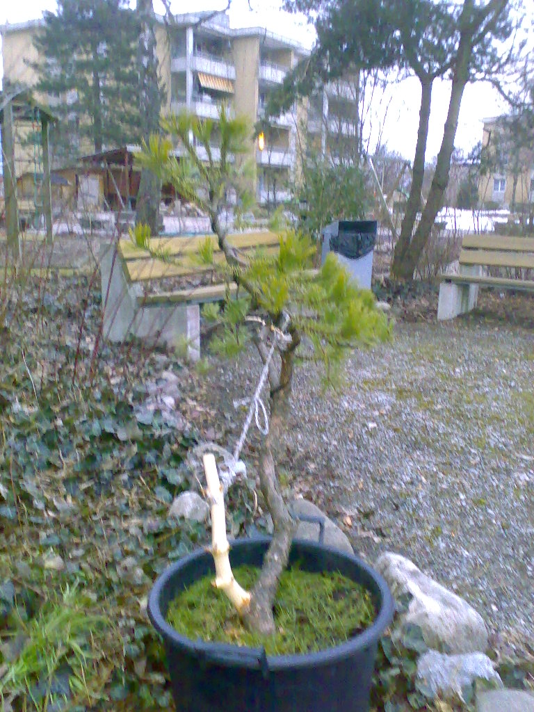 210220091002.jpg