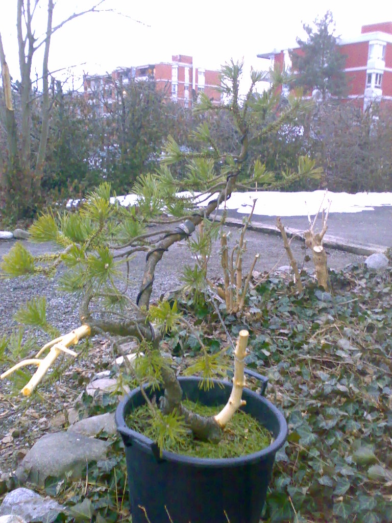 210220091001.jpg