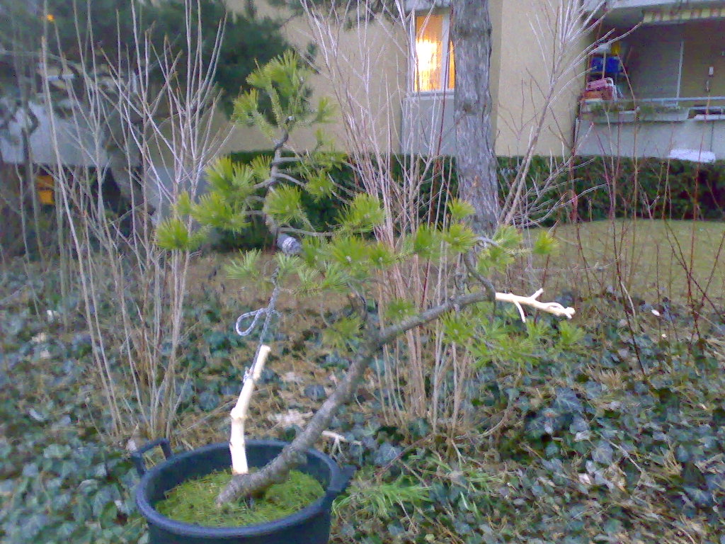 21022009999.jpg