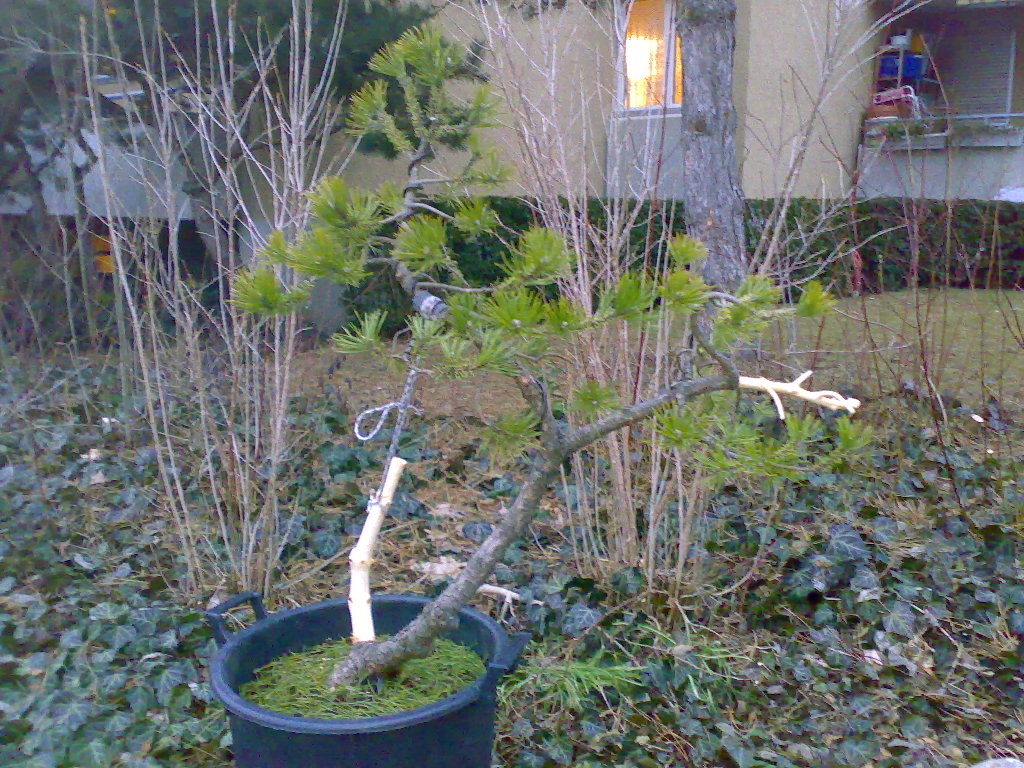 210220091000.jpg