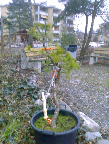 210220tp.jpg