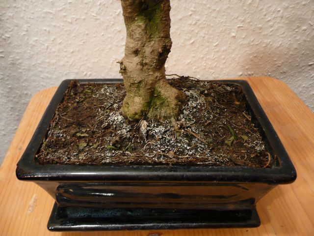 b5.jpg