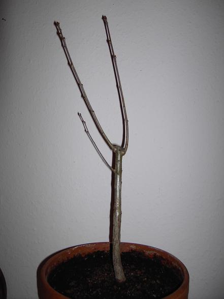 Vorderansicht