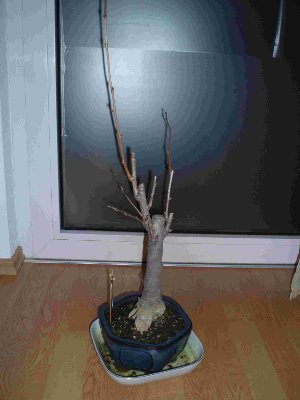 P4010018a.JPG