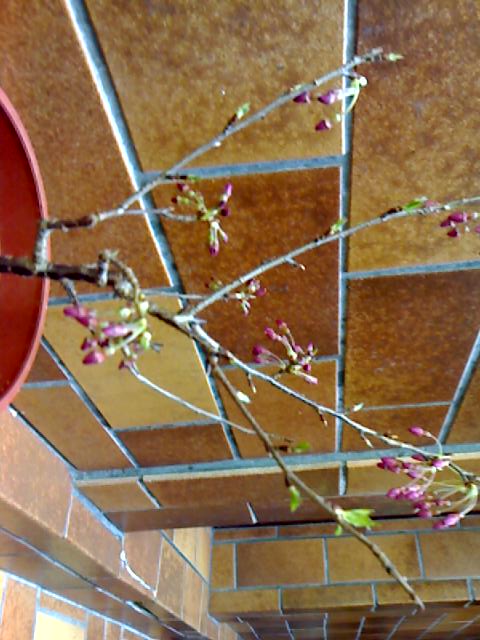 29-03-09_1030.jpg
