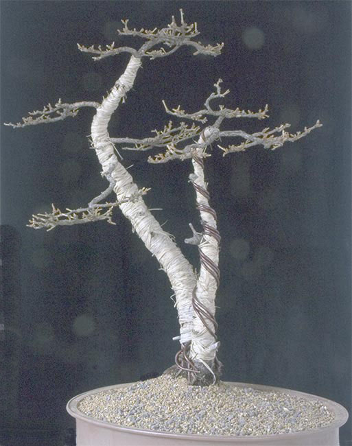 PICT2298.jpg