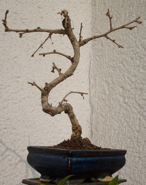 S6300001.JPG