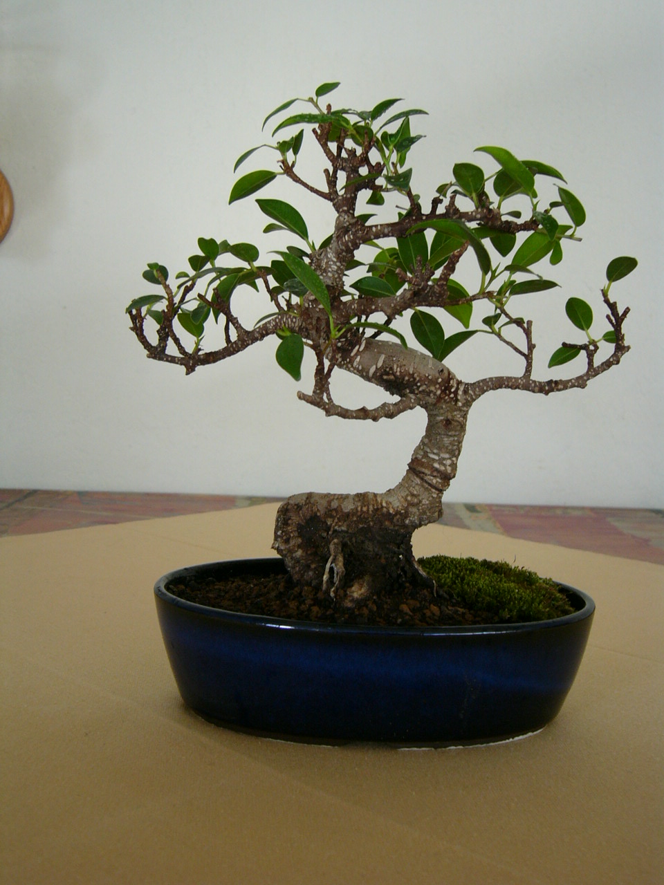 P1000153.JPG