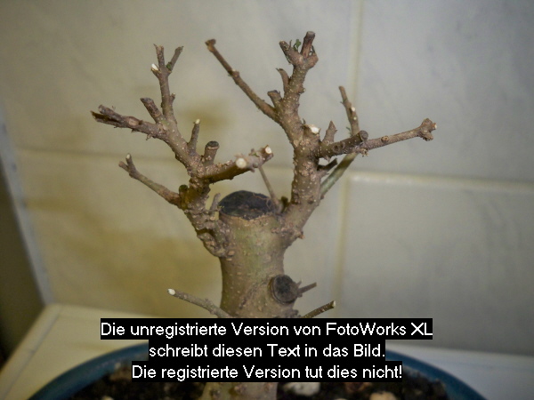11.06.2009 052.jpg