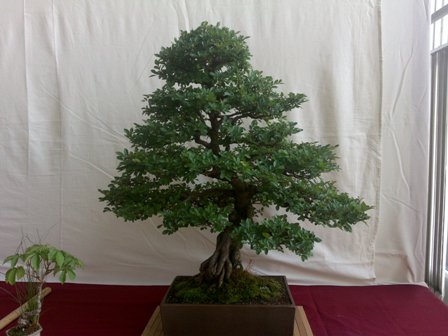 14062009045.jpg