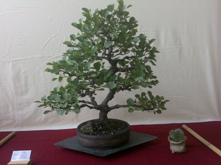 14062009044.jpg