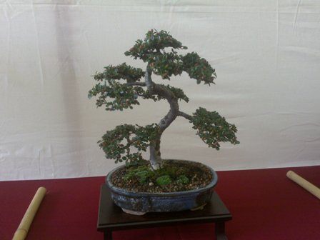 14062009042.jpg