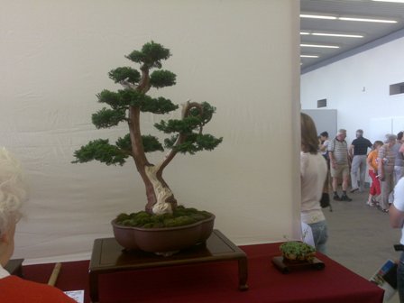 14062009040.jpg