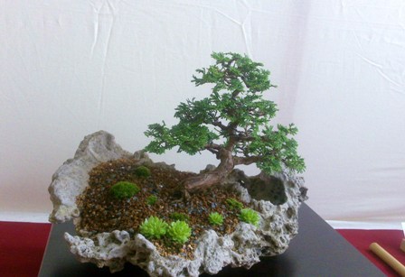 14062009037.jpg
