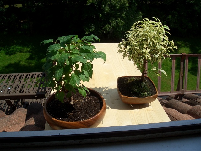 auf meinem möchtegernbalkon :D