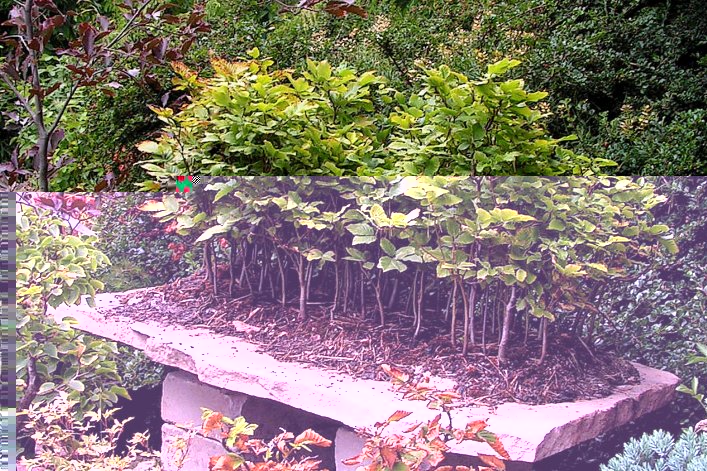 Pict0017a.jpg