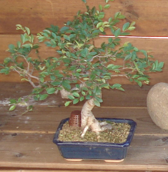 foto backup 841_Kopie.jpg