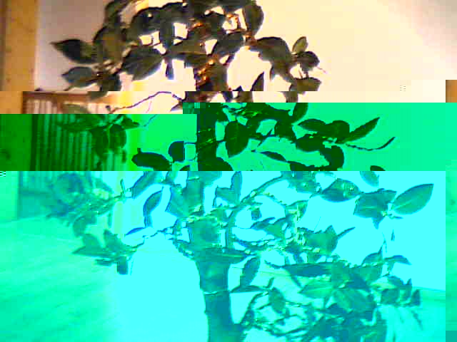 2010-01-15-42897.jpg
