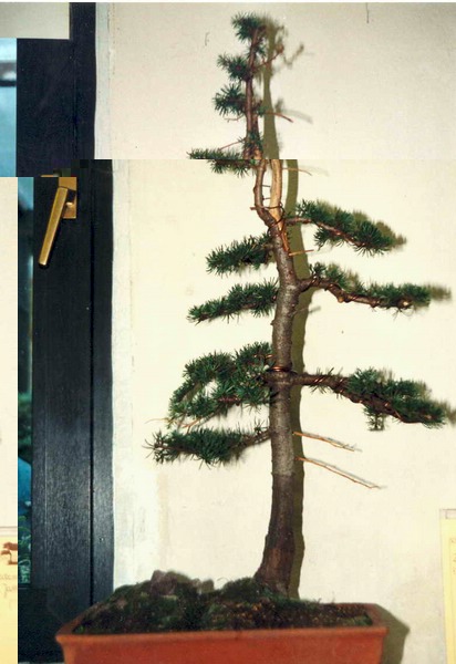 Etwa 1993