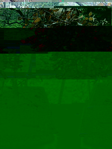 outdoor.jpg