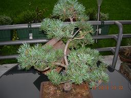 DSCN5110.JPG