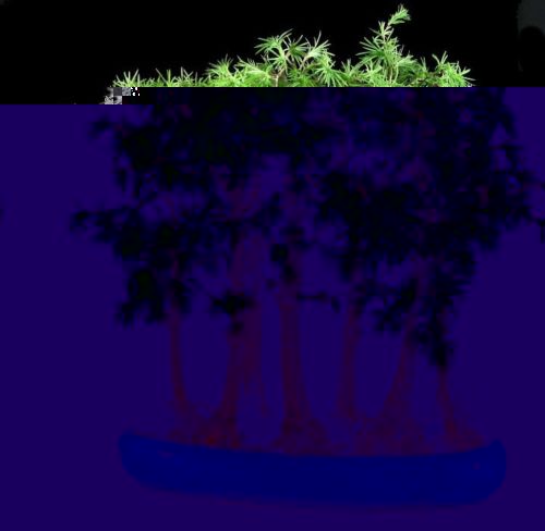 15Pa1004.JPG