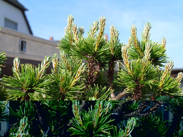 x11.04.2011_001_640x480.jpg