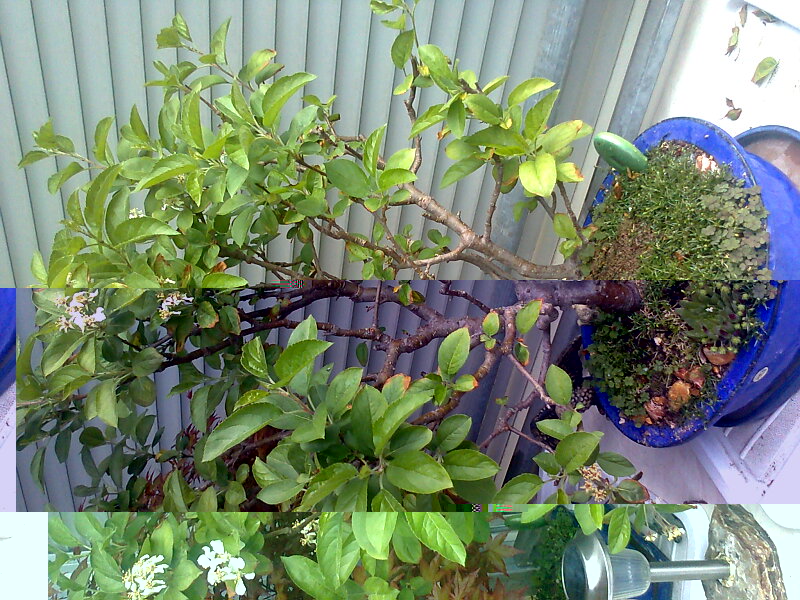 Foto0204.jpg