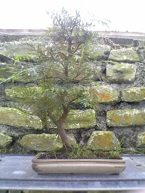 05-12-27_14-05_ba.jpg