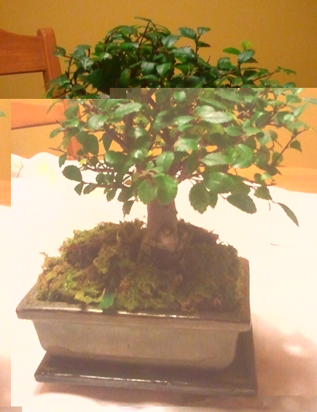 2011-11-10 18.09.11.jpg