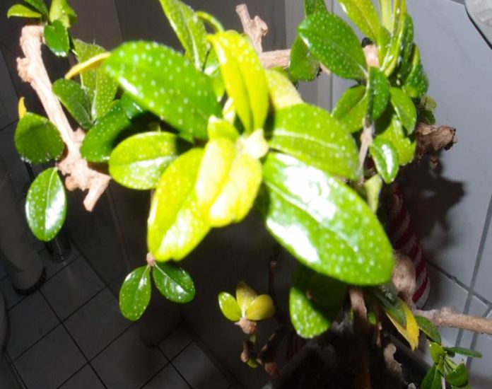PC060421.JPG