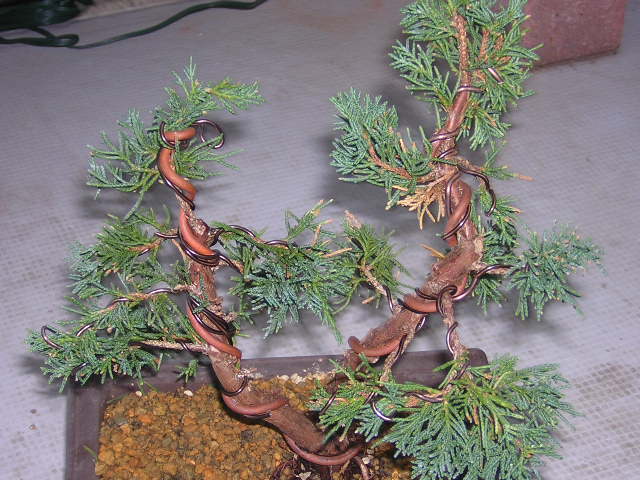 DSCN0201.JPG