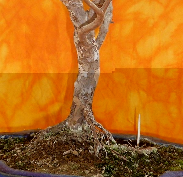 file-5.jpg