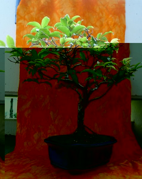 file-1.jpg